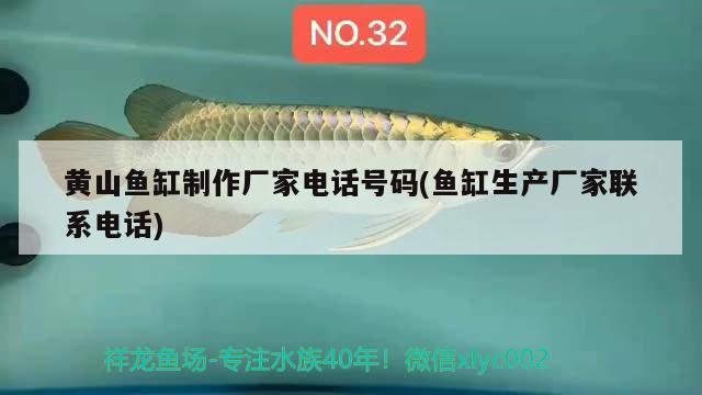 黃山魚缸制作廠家電話號(hào)碼(魚缸生產(chǎn)廠家聯(lián)系電話) 月光鴨嘴魚苗