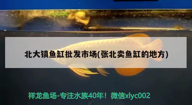 北大鎮(zhèn)魚缸批發(fā)市場(chǎng)(張北賣魚缸的地方) 魚缸風(fēng)水