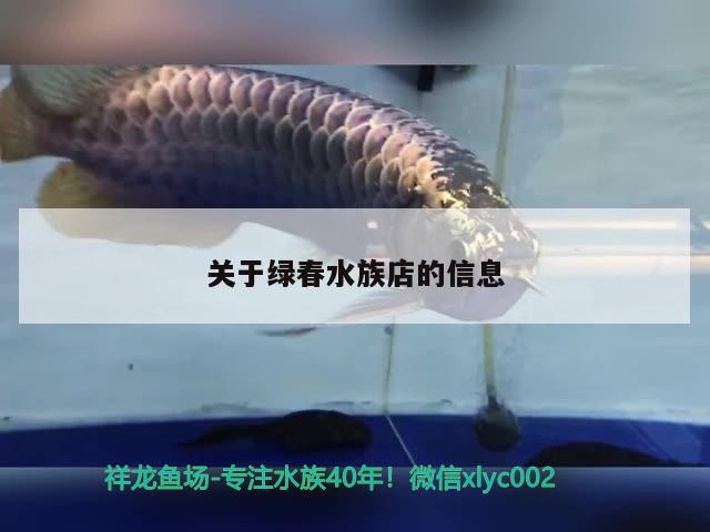 關于綠春水族店的信息 祥龍水族護理水