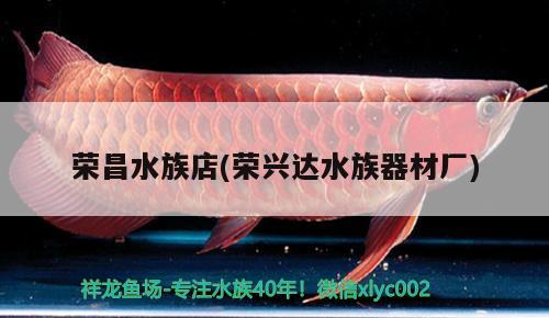 榮昌水族店(榮興達(dá)水族器材廠) 魚缸清潔用具