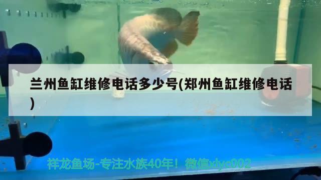 蘭州魚缸維修電話多少號(鄭州魚缸維修電話) 照明器材