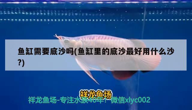 魚(yú)缸需要底沙嗎(魚(yú)缸里的底沙最好用什么沙？) 黑帝王魟魚(yú)