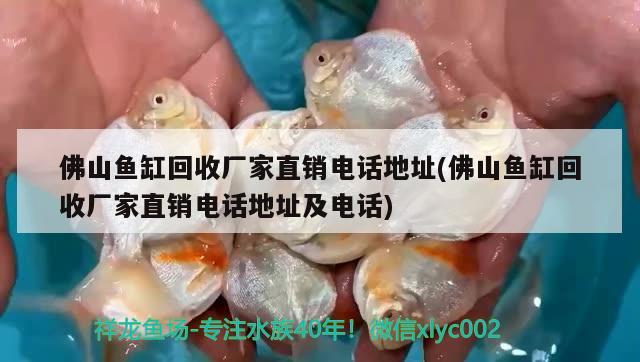 佛山魚缸回收廠家直銷電話地址(佛山魚缸回收廠家直銷電話地址及電話) 印尼小紅龍