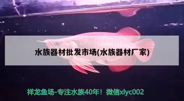 水族器材批發(fā)市場(水族器材廠家) 慈雕魚