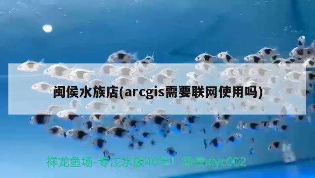 閩侯水族店(arcgis需要聯(lián)網(wǎng)使用嗎) 印尼虎苗