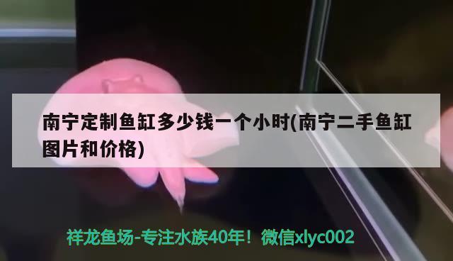 南寧定制魚缸多少錢一個小時(南寧二手魚缸圖片和價格) 非洲金鼓魚