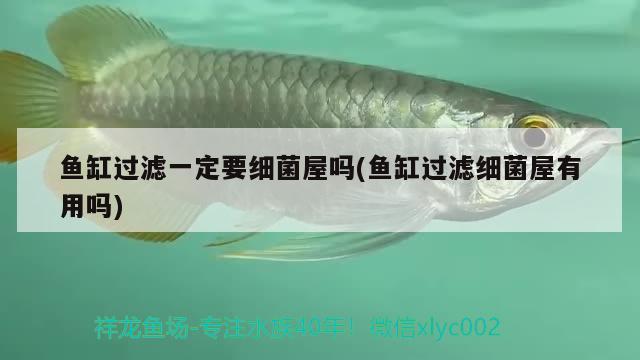 魚(yú)缸過(guò)濾一定要細(xì)菌屋嗎(魚(yú)缸過(guò)濾細(xì)菌屋有用嗎) 魚(yú)缸風(fēng)水