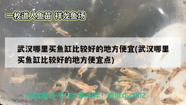 武漢哪里買魚缸比較好的地方便宜(武漢哪里買魚缸比較好的地方便宜點) 水族燈（魚缸燈）