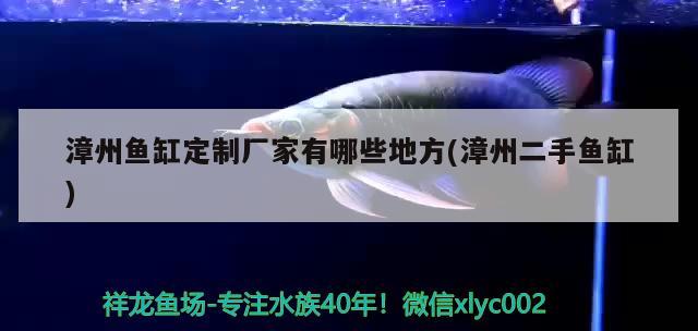 漳州魚(yú)缸定制廠家有哪些地方(漳州二手魚(yú)缸) 錦鯉池魚(yú)池建設(shè)