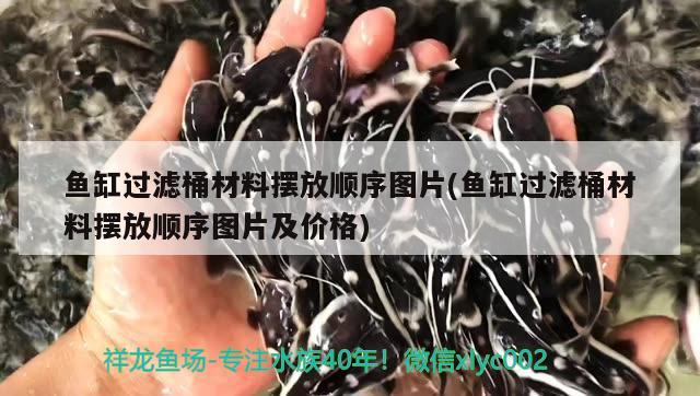 魚缸過濾桶材料擺放順序圖片(魚缸過濾桶材料擺放順序圖片及價格) 黃金鴨嘴魚