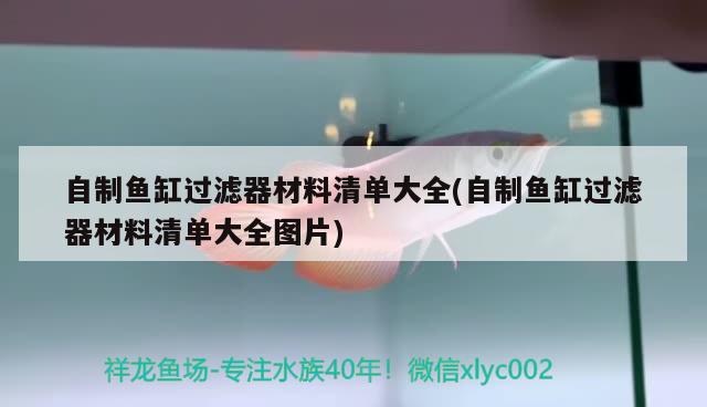 自制魚缸過濾器材料清單大全(自制魚缸過濾器材料清單大全圖片) 魚缸風(fēng)水