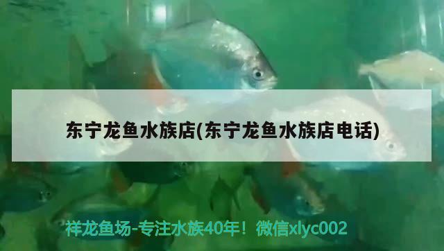 東寧龍魚水族店(東寧龍魚水族店電話) 白子關(guān)刀魚苗