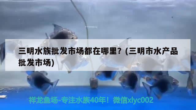 三明水族批發(fā)市場(chǎng)都在哪里？(三明市水產(chǎn)品批發(fā)市場(chǎng)) 觀賞魚水族批發(fā)市場(chǎng)