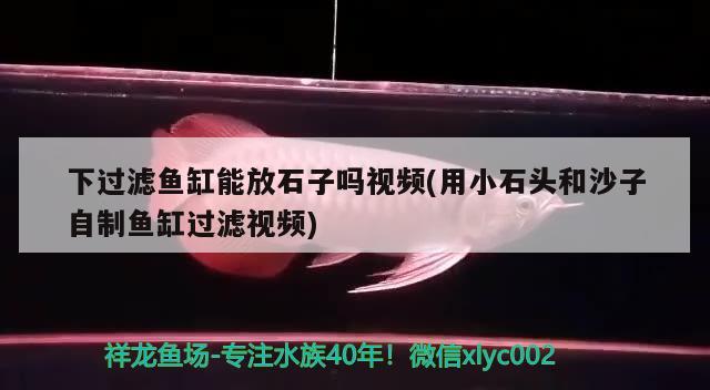 下過濾魚缸能放石子嗎視頻(用小石頭和沙子自制魚缸過濾視頻) 廣州龍魚批發(fā)市場