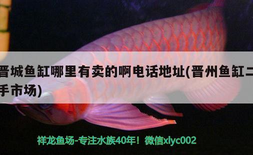 晉城魚缸哪里有賣的啊電話地址(晉州魚缸二手市場)