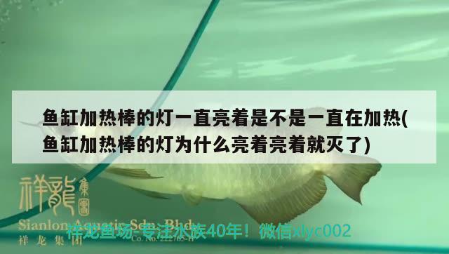 魚缸加熱棒的燈一直亮著是不是一直在加熱(魚缸加熱棒的燈為什么亮著亮著就滅了)