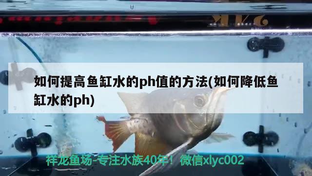 如何提高魚缸水的ph值的方法(如何降低魚缸水的ph) 魚缸風(fēng)水