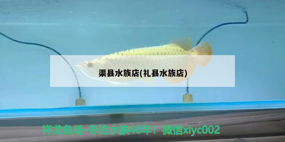 渠縣水族店(禮縣水族店)