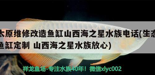 太原維修改造魚缸山西海之星水族電話(生態(tài)魚缸定制山西海之星水族放心) 二氧化碳設(shè)備