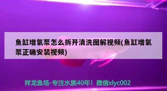 魚缸增氧泵怎么拆開清洗圖解視頻(魚缸增氧泵正確安裝視頻) 魚缸風(fēng)水 第2張