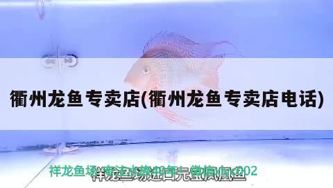 衢州龍魚專賣店(衢州龍魚專賣店電話)