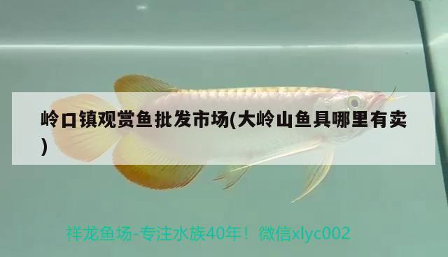 嶺口鎮(zhèn)觀賞魚批發(fā)市場(大嶺山魚具哪里有賣) 觀賞魚批發(fā)