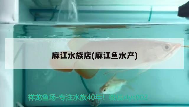 麻江水族店(麻江魚水產(chǎn))