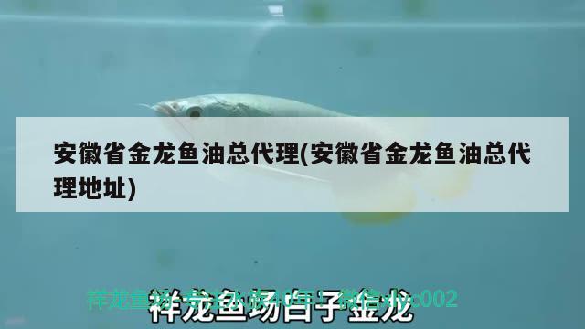 安徽省金龍魚油總代理(安徽省金龍魚油總代理地址) 海象魚