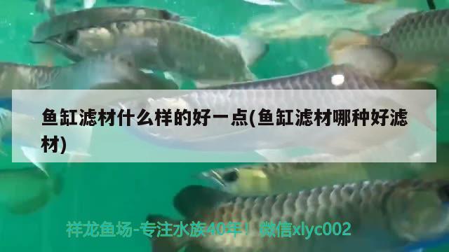 魚缸濾材什么樣的好一點(diǎn)(魚缸濾材哪種好濾材) 魚缸風(fēng)水