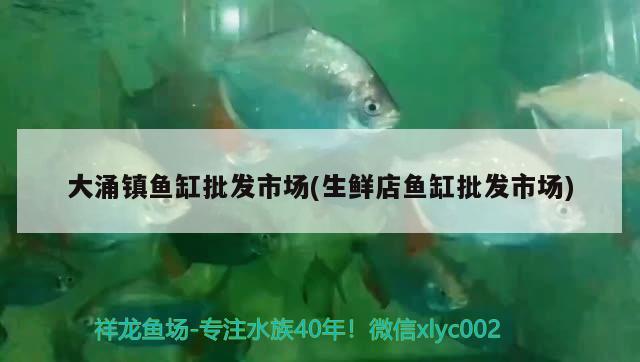 大涌鎮(zhèn)魚(yú)缸批發(fā)市場(chǎng)(生鮮店魚(yú)缸批發(fā)市場(chǎng)) 魚(yú)缸風(fēng)水