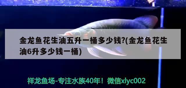 金龍魚花生油五升一桶多少錢？(金龍魚花生油6升多少錢一桶)