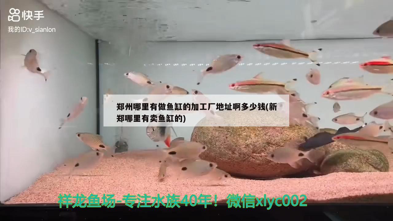 鄭州哪里有做魚缸的加工廠地址啊多少錢(新鄭哪里有賣魚缸的)