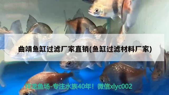 曲靖魚缸過濾廠家直銷(魚缸過濾材料廠家) 赤焰中國虎魚