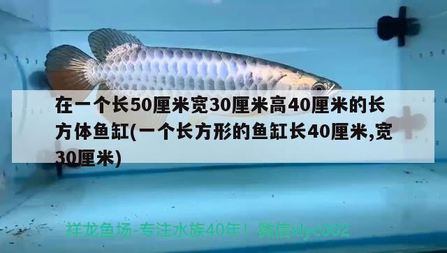 在一個長50厘米寬30厘米高40厘米的長方體魚缸(一個長方形的魚缸長40厘米,寬30厘米) 水族雜談