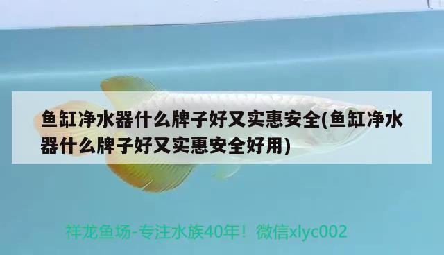 魚缸凈水器什么牌子好又實(shí)惠安全(魚缸凈水器什么牌子好又實(shí)惠安全好用) 魚缸風(fēng)水