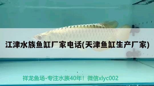 江津水族魚缸廠家電話(天津魚缸生產廠家) 南美異型魚