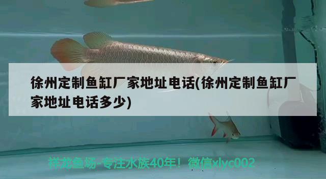 徐州定制魚缸廠家地址電話(徐州定制魚缸廠家地址電話多少) 銀龍魚百科