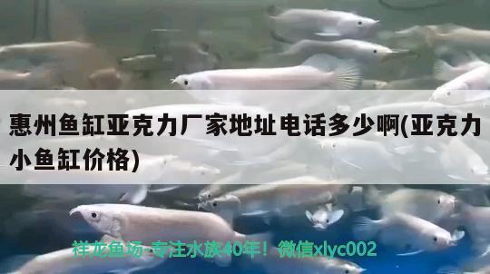 惠州魚缸亞克力廠家地址電話多少啊(亞克力小魚缸價格) 其它水族用具設備