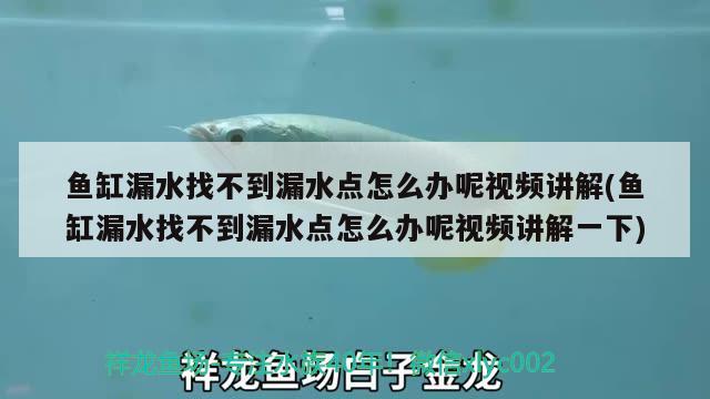 魚缸漏水找不到漏水點(diǎn)怎么辦呢視頻講解(魚缸漏水找不到漏水點(diǎn)怎么辦呢視頻講解一下) 青龍魚