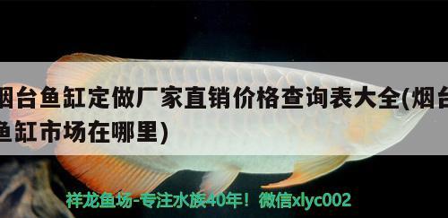 煙臺(tái)魚缸定做廠家直銷價(jià)格查詢表大全(煙臺(tái)魚缸市場(chǎng)在哪里) 白條過(guò)背金龍魚