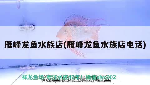 雁峰龍魚(yú)水族店(雁峰龍魚(yú)水族店電話) 綠皮辣椒小紅龍 第2張