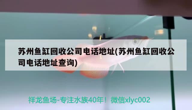 蘇州魚缸回收公司電話地址(蘇州魚缸回收公司電話地址查詢) 野彩魚