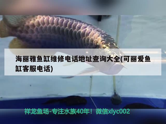 海麗雅魚缸維修電話地址查詢大全(可麗愛魚缸客服電話) 白子黃化銀龍魚