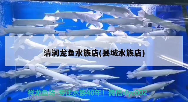 清澗龍魚(yú)水族店(縣城水族店) 虎紋銀版魚(yú)