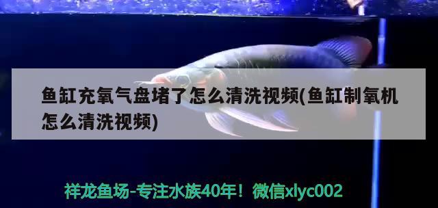 魚缸充氧氣盤堵了怎么清洗視頻(魚缸制氧機(jī)怎么清洗視頻)