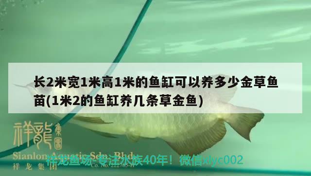 長2米寬1米高1米的魚缸可以養(yǎng)多少金草魚苗(1米2的魚缸養(yǎng)幾條草金魚)