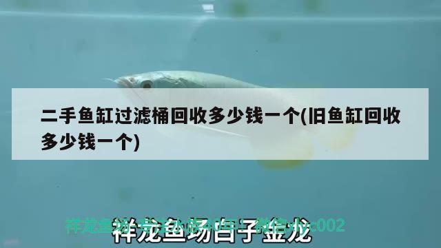 二手魚缸過濾桶回收多少錢一個(舊魚缸回收多少錢一個) 2024第28屆中國國際寵物水族展覽會CIPS（長城寵物展2024 CIPS）