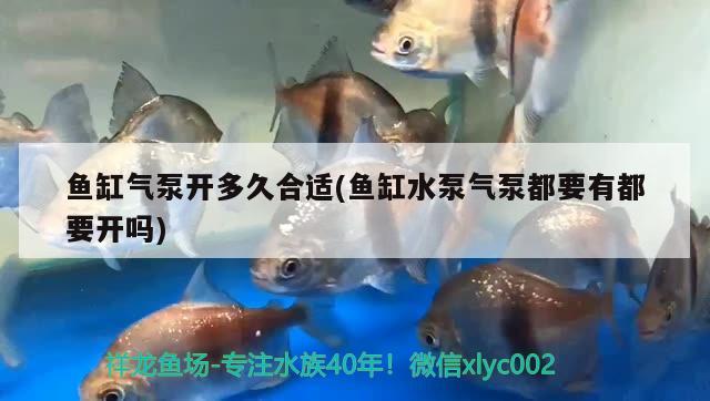 魚缸氣泵開多久合適(魚缸水泵氣泵都要有都要開嗎) 魚缸水泵