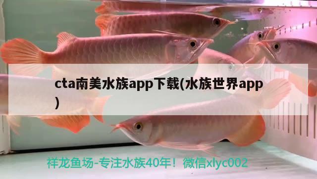 cta南美水族app下載(水族世界app)