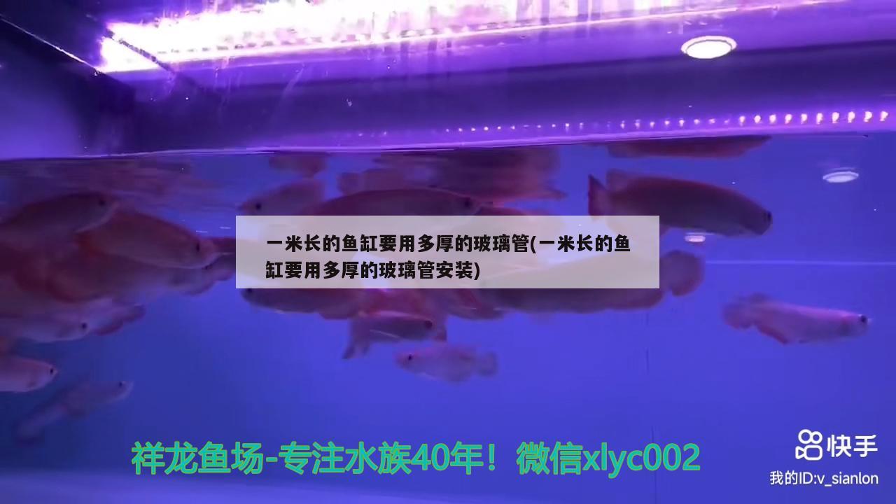 一米長的魚缸要用多厚的玻璃管(一米長的魚缸要用多厚的玻璃管安裝) 大嘴鯨魚